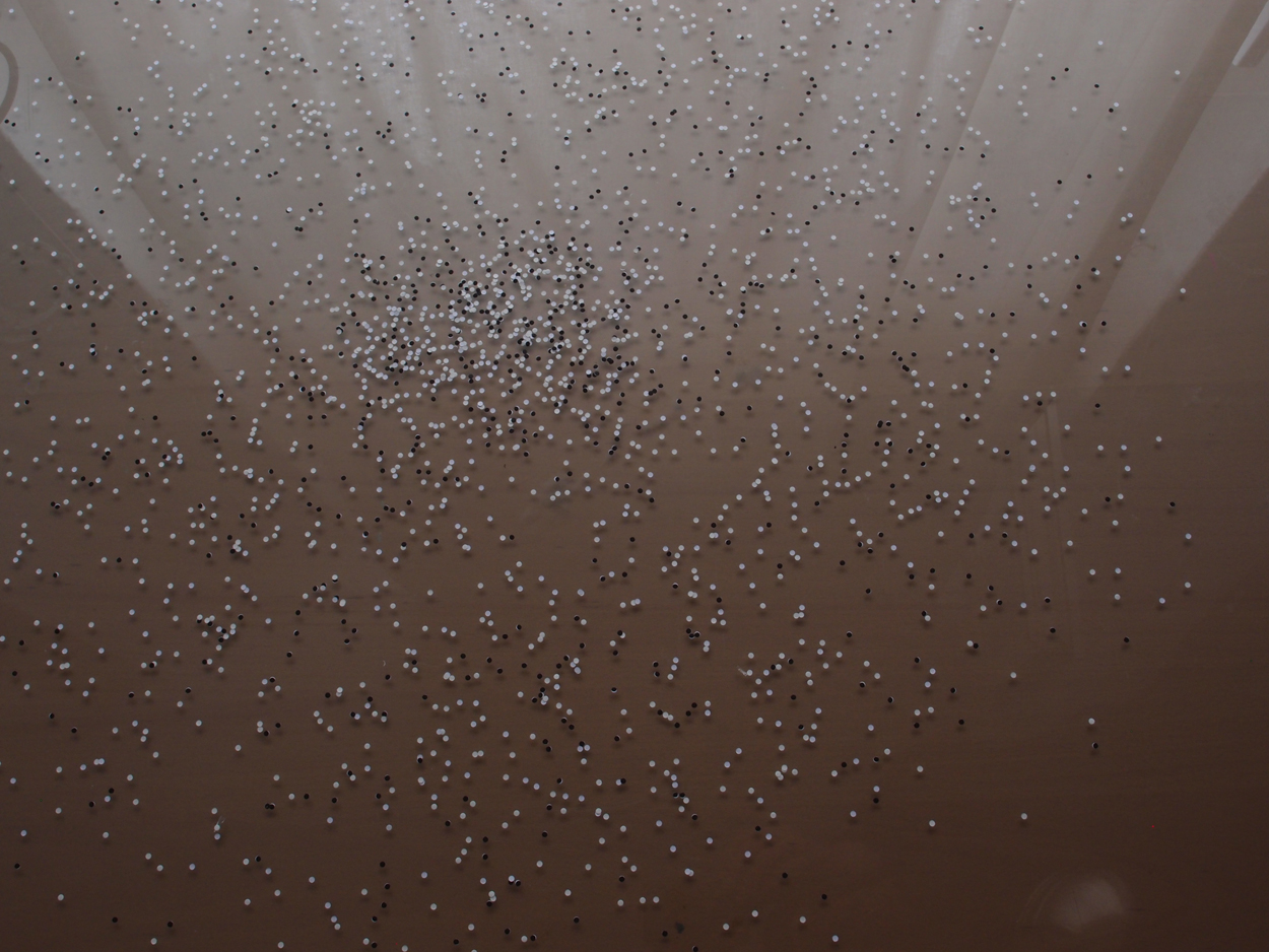 2017-04-07 sand fuer Drehorgel Remix 2 (Making Off 10)